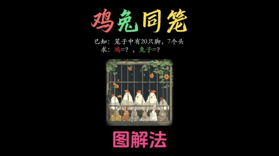 雞跟兔合不合