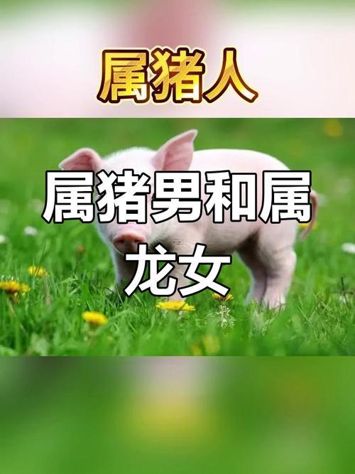 71年豬男與71年豬女婚配