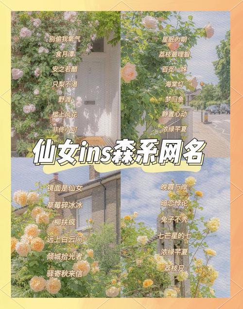 仙到爆炸的網(wǎng)名