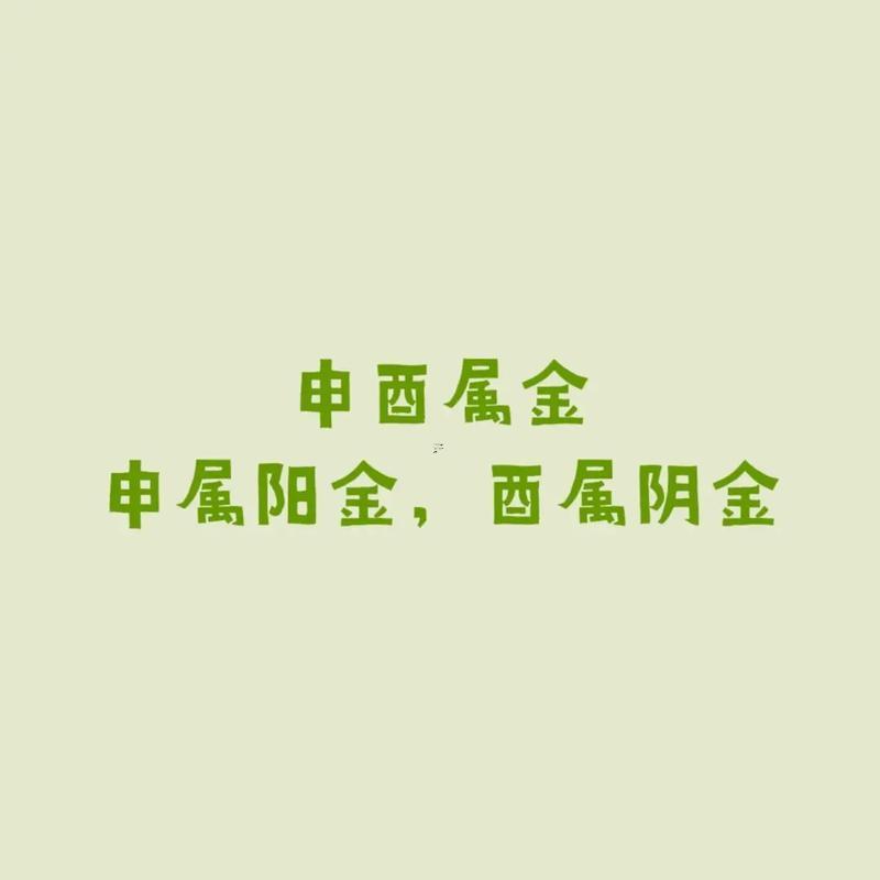 10天干12地支