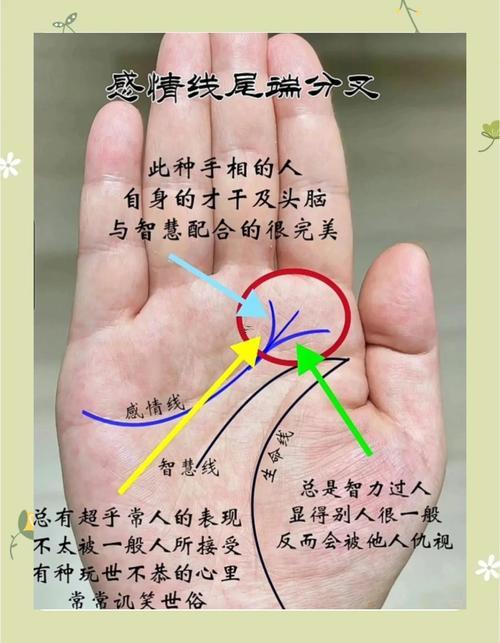 手相感情線怎么看