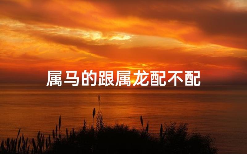 屬馬哪一年