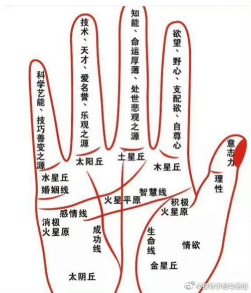 手掌的三條線正確圖解