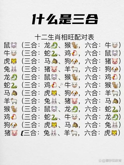 雞與羊的屬相合不合