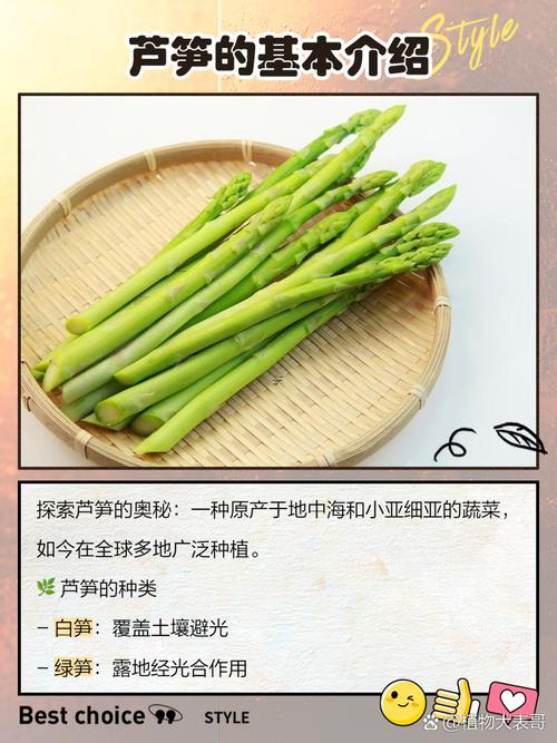夢見竹子什么意思