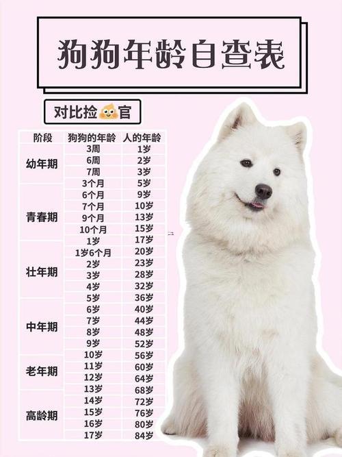 狗的年齡