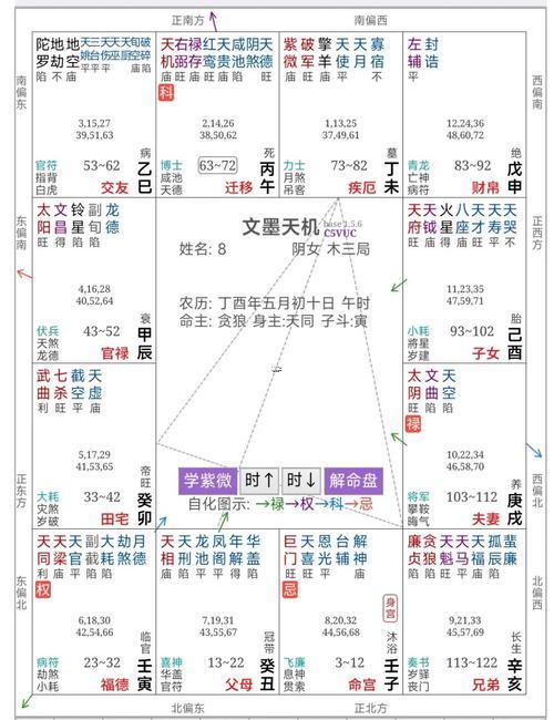紫薇命盤排盤