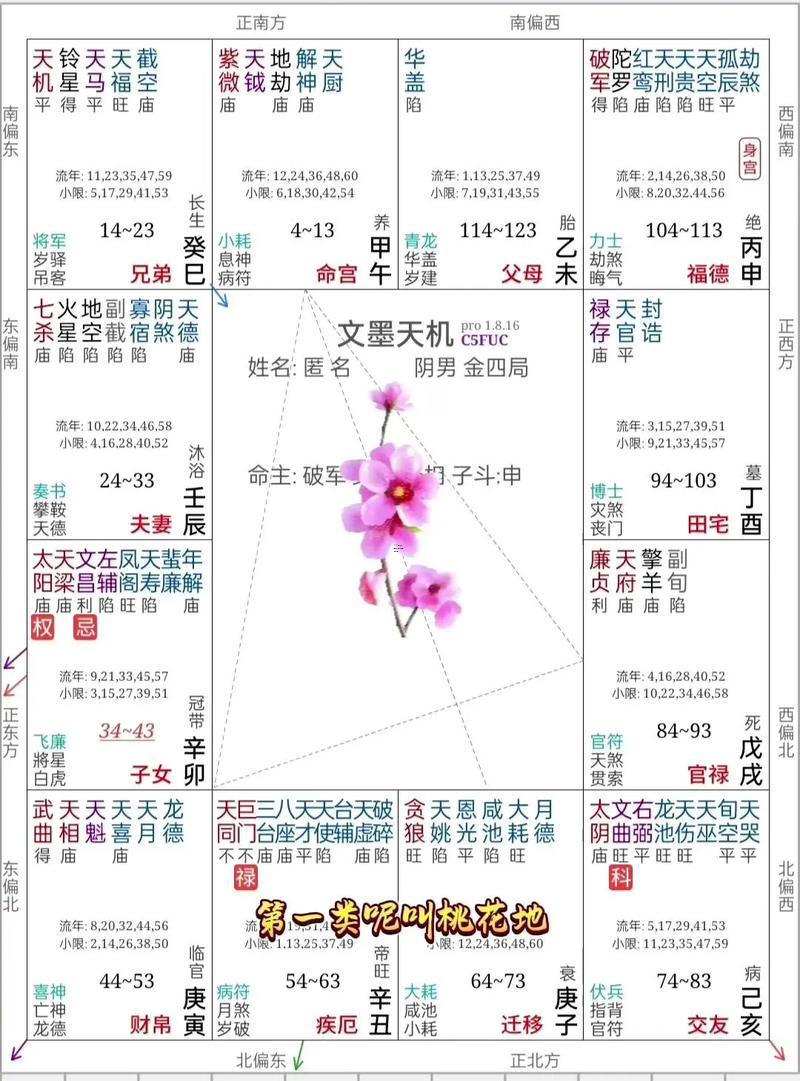 免費(fèi)紫微斗數(shù)算命