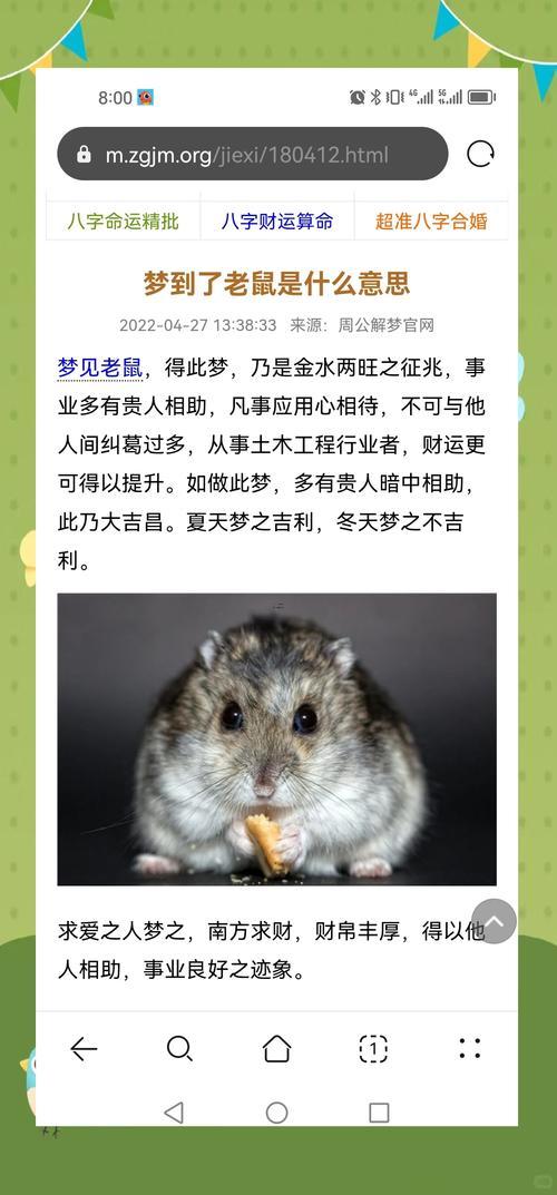 夢見大老鼠