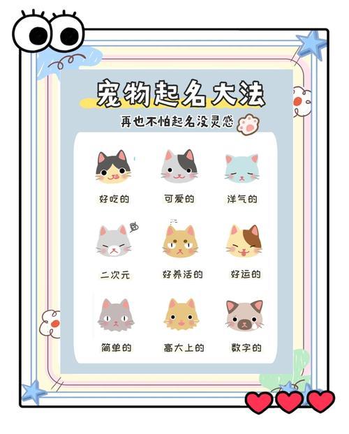 寵物的名字