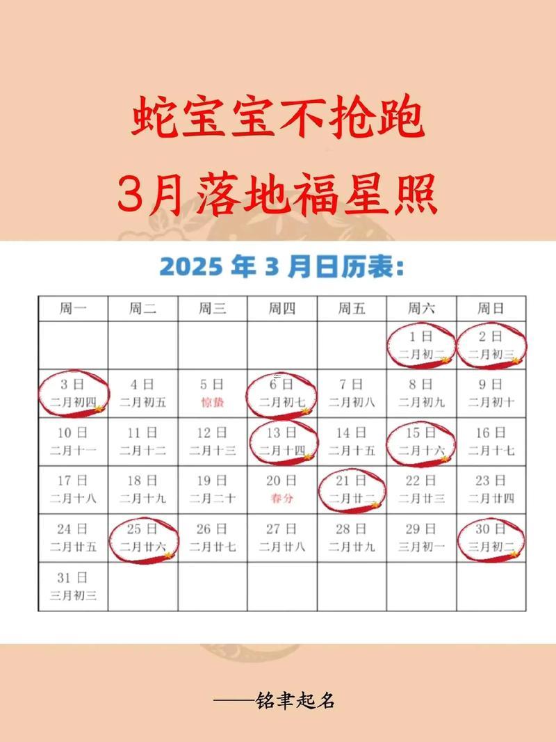 2025八月生子黃道吉日全了解
