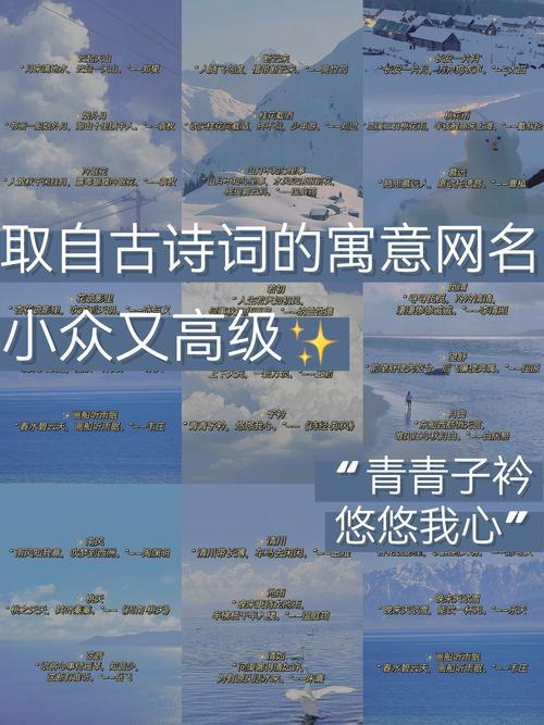 比較有詩(shī)意的網(wǎng)名