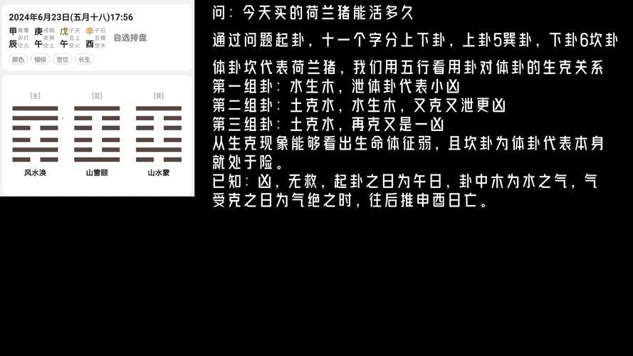 在線解卦