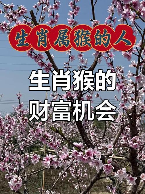 屬猴人在2025年的運(yùn)程