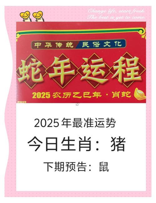 屬豬人2025一2030年運(yùn)勢
