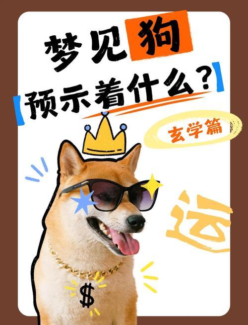 夢(mèng)見(jiàn)抱小狗