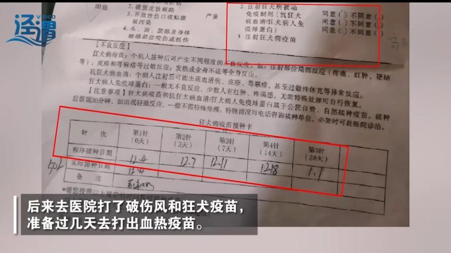 夢見被老鼠咬
