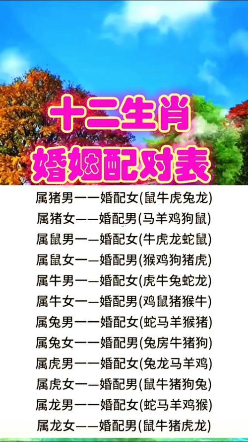 十二生肖婚姻配對
