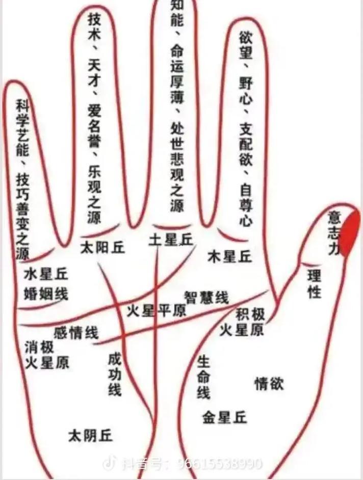 手相哪根線是事業(yè)線