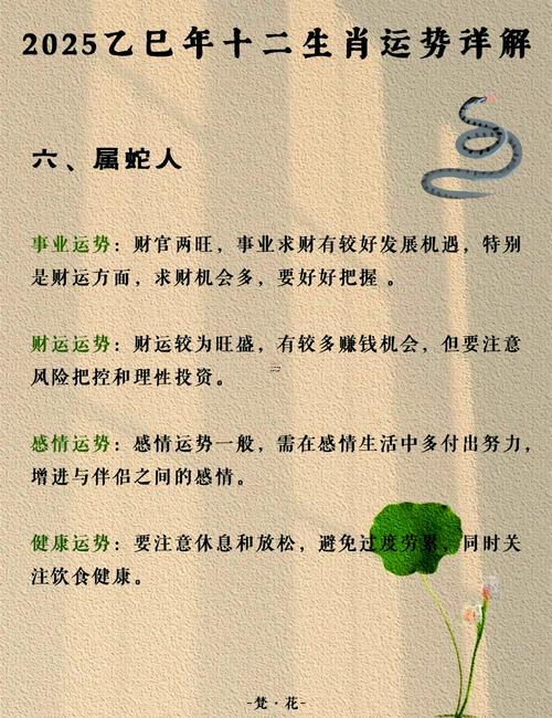 2025年走甲辰大運