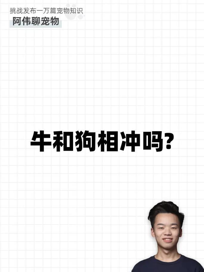 屬狗男合屬牛女相配嗎