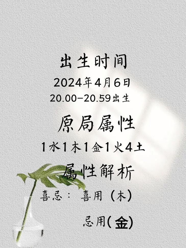 胡姓男孩名字