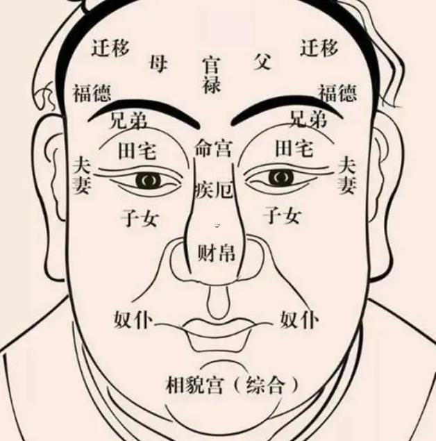 女人面相