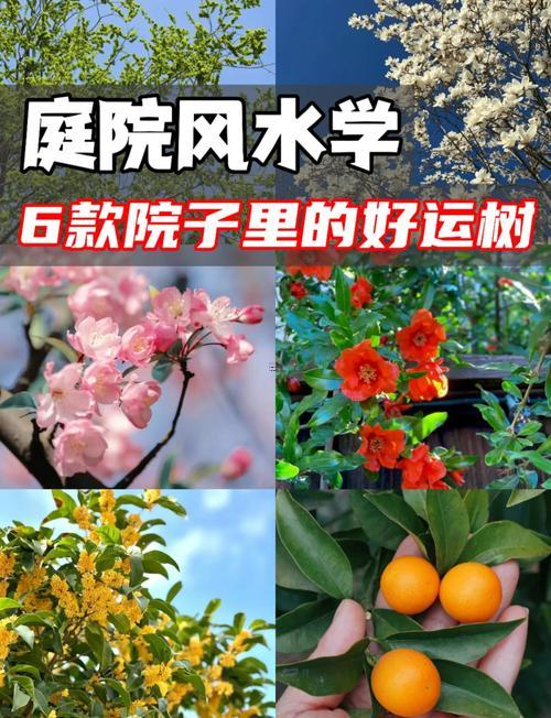 2026年1月適合種樹(shù)的日子