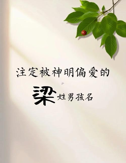 梁字五行屬啥東西