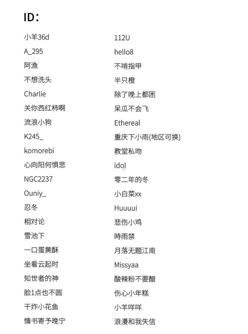 跑跑名字