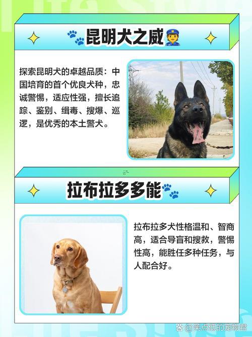 好聽的小狗名字