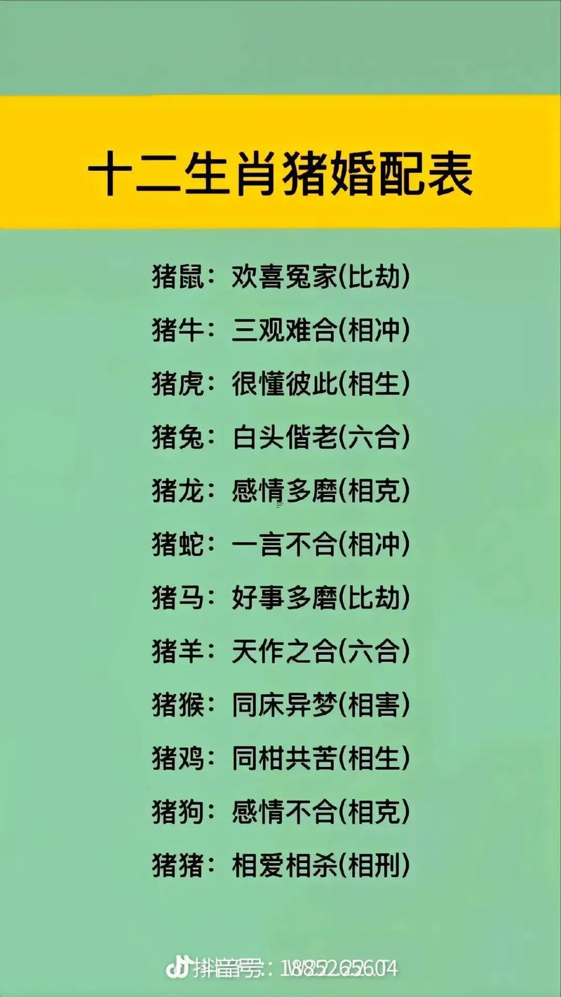 九五年屬豬男跟著何事屬相得女孩最配