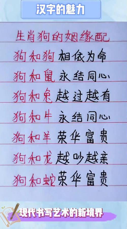 狗跟著什么東西東西生肖相沖相合