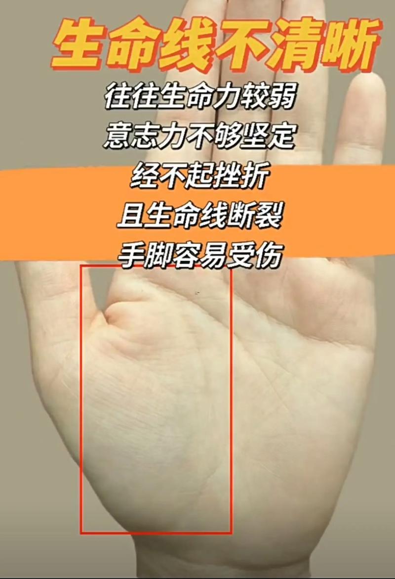 手相研究