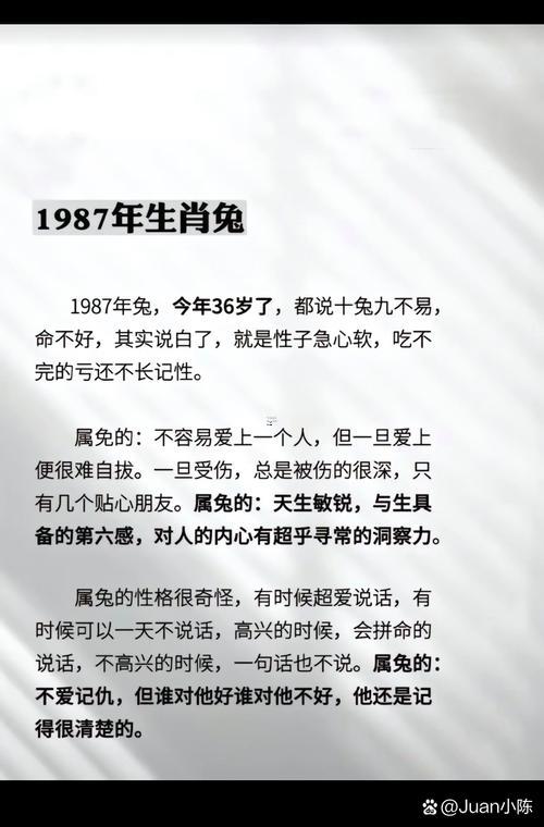 1987年啥命
