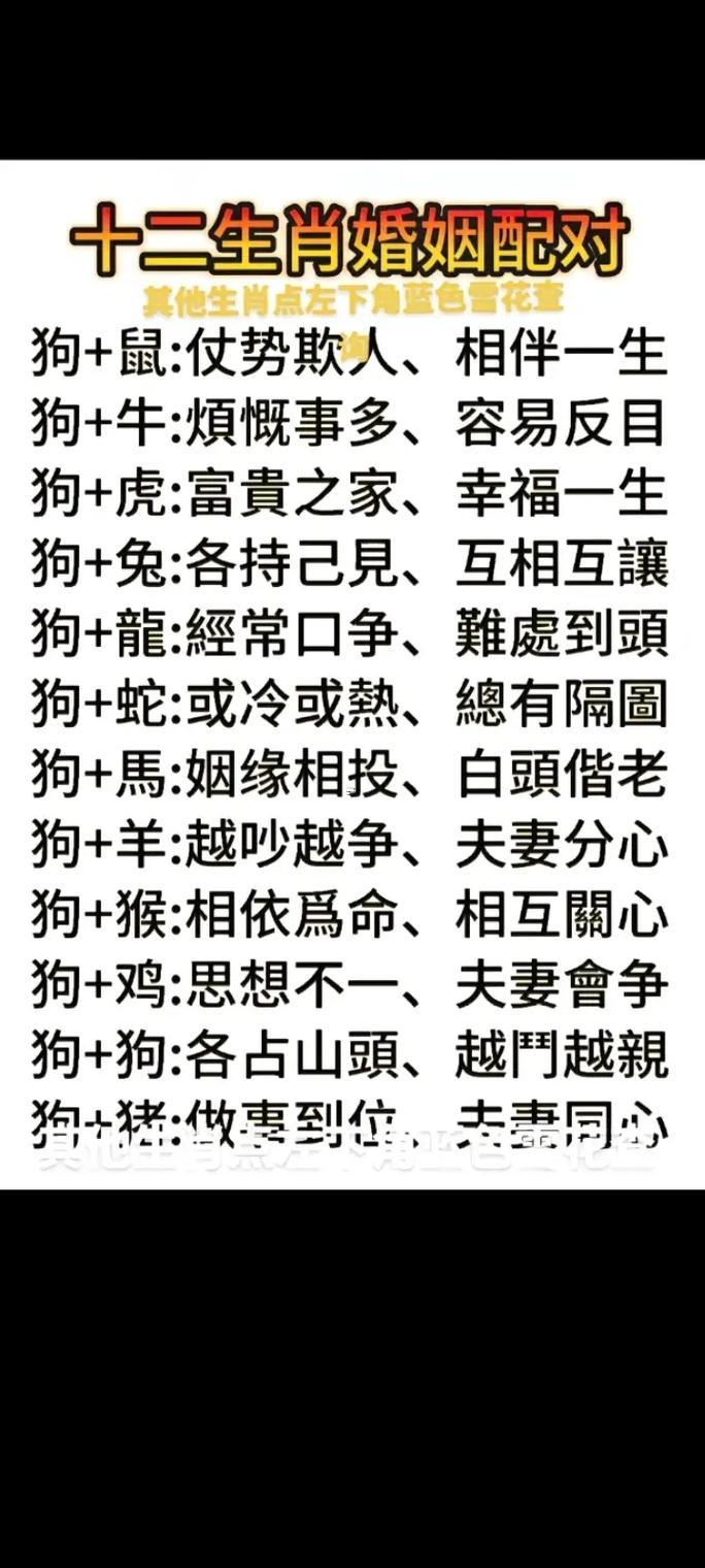 比屬狗的大二歲屬何事