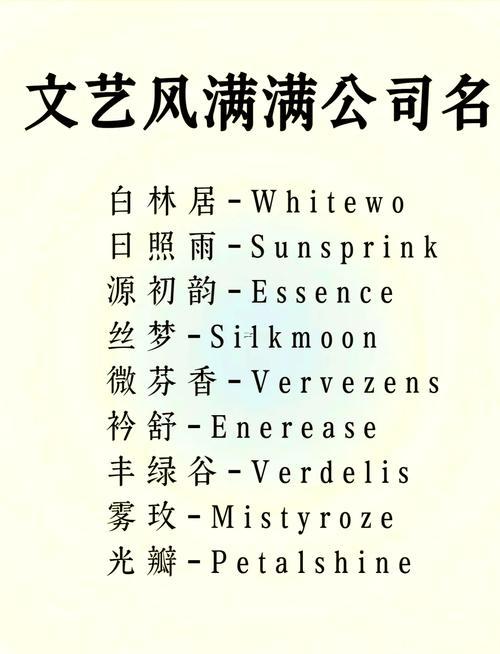 起公司名