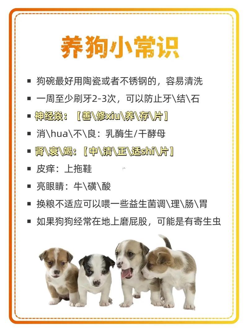 寵物取名