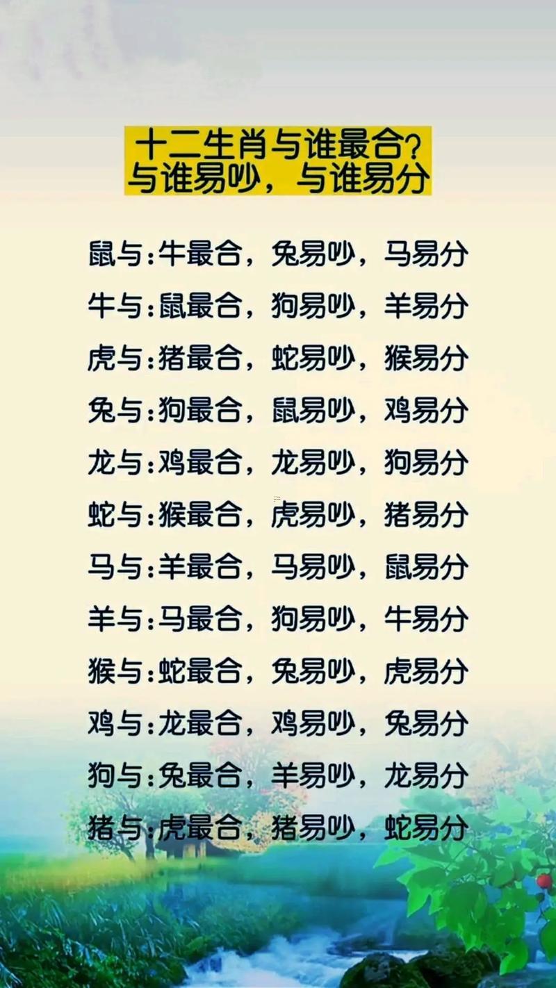 兔跟鼠合不合