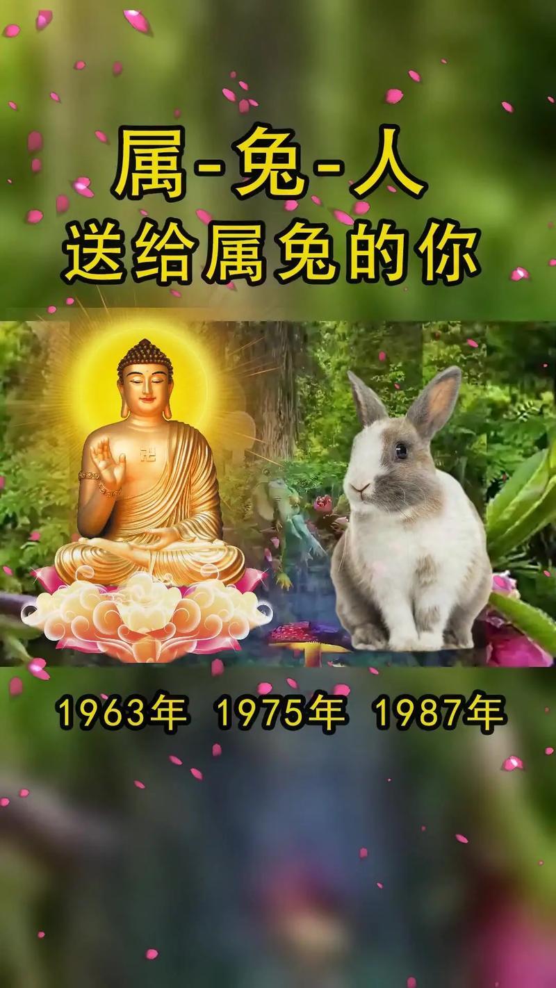 1975年屬兔住四樓好不好