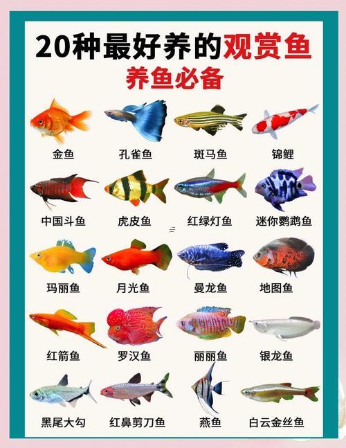 好聽有個性得寵物名字
