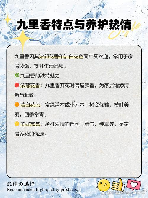 九里香種再家里禁忌