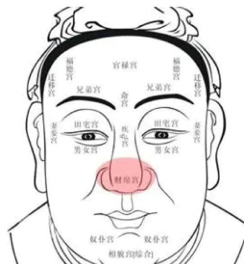 露鼻孔的男人面相風(fēng)水