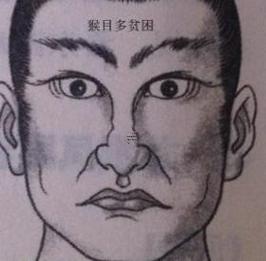 長(zhǎng)伏羲骨的男人面相好不好