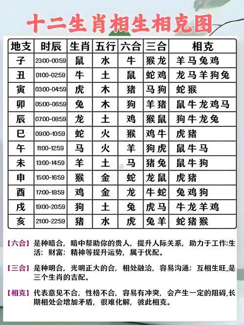 年份相生相克2025