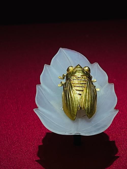 夢(mèng)見(jiàn)金蟬