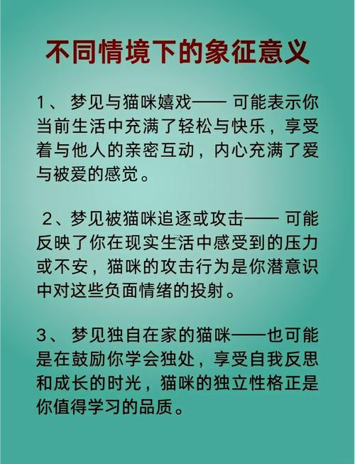女人夢見貓吃老鼠是什么預(yù)兆