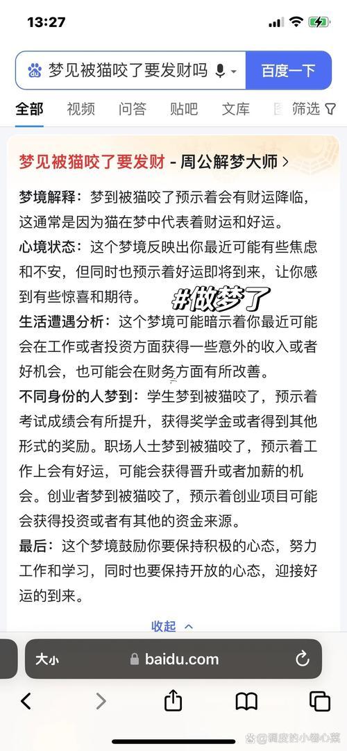 夢見許多貓