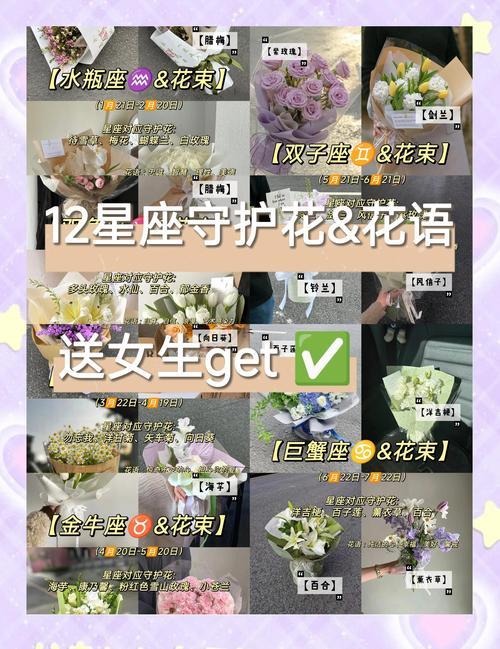 十二星座守護(hù)花