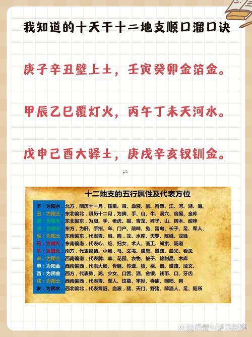 天干地支陰陽(yáng)